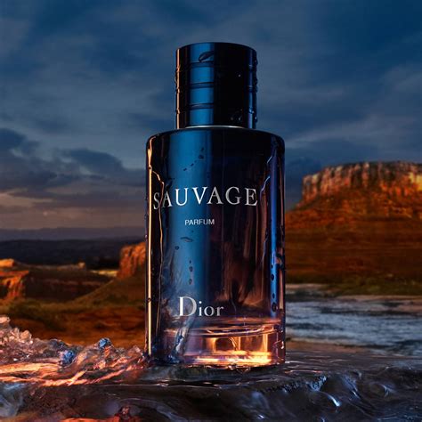 parfém dior sauvage|dior sauvage parfum 100ml price.